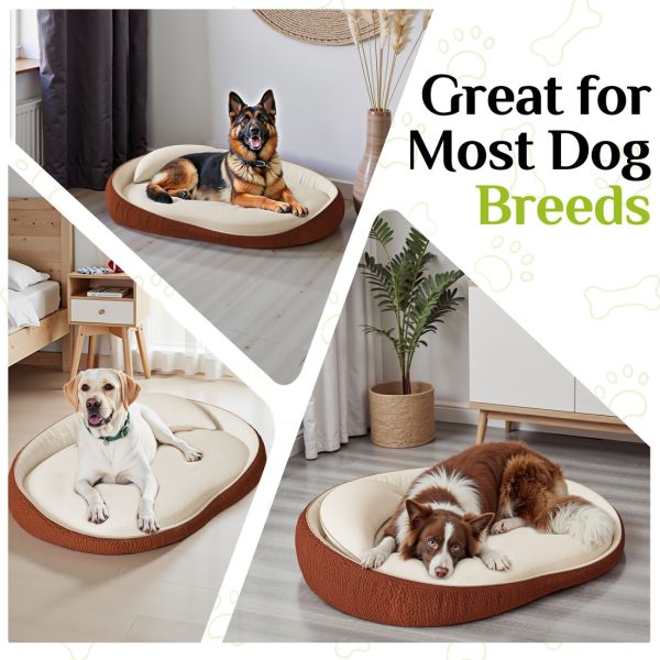 Premium Round Pet Bed for Large Dogs - Non-Slip Foam - Immagine 3