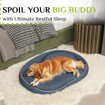 orthopedic bed for large dogs 4567