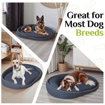 orthopedic bed for large dogs 4568