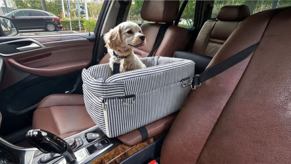 portable small pet car seat blog